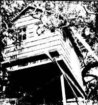 Build a Cardboard House